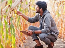 How-Agri-Entrepreneurship-Can-Be-a-Game-Changer-for-Indian-Economy