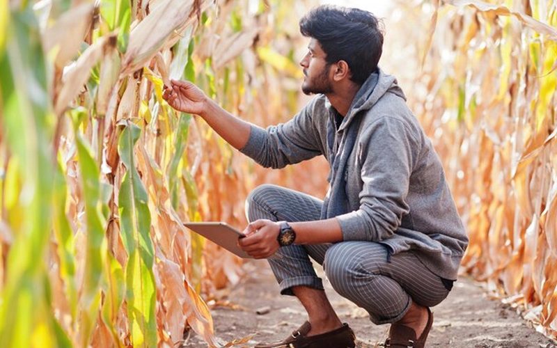 How-Agri-Entrepreneurship-Can-Be-a-Game-Changer-for-Indian-Economy